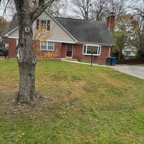 Leaf Removal by Rios Enterprise Lawn Mowing Services. reviewed on September 21, 2025