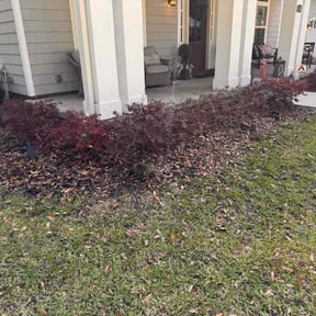 Leaf Removal by Jackson&#039;s Lawn Care and Pressure Washing reviewed on September 28, 2025