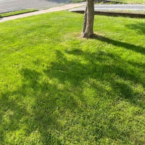 landscaping by TOMS - Total Outdoor Maintenance reviewed on December 4, 2025