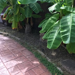 Flower Bed Weeding by Green landscaping LLc reviewed on August 15, 2025