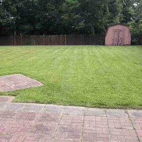 yard care by Dobie's New Creation Lawn Care reviewed on April 9, 2022