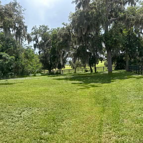 lawn service by JDB Landscaping Services reviewed on August 15, 2025