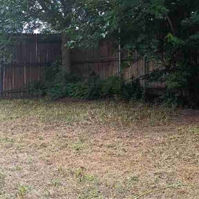 Flower Bed Weeding by Confluence Labor Services reviewed on August 31, 2026