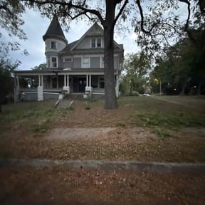 Bush Trimming by Matt&#039;s maintenance reviewed on November 21, 2025