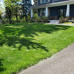 Bush Trimming by E-maculate Lawn  Care LLC reviewed on September 11, 2021