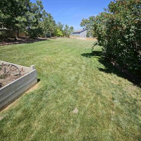 yard service by Outlier LandScapes reviewed on May 14, 2025