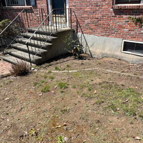 Bush Trimming by ProGreenlq reviewed on April 20, 2026