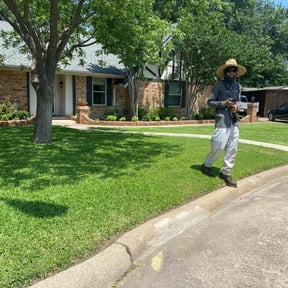 residential landscaping by 4M landscaping reviewed on August 17, 2025