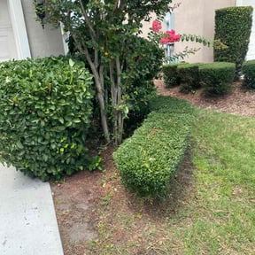 Bush Trimming by Thomas Scott Landscaping reviewed on August 20, 2025