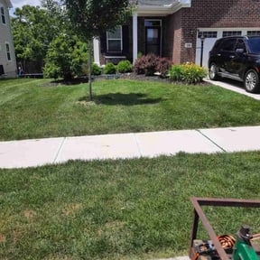 yard service by Bennett Lawn Care reviewed on November 21, 2025