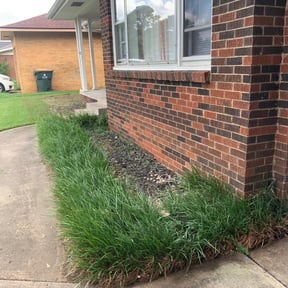 Flower Bed Weeding by Pringle's landscaping llc. reviewed on August 17, 2025