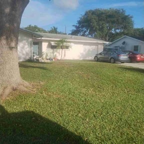 yard work by Soto landscape reviewed on April 18, 2025