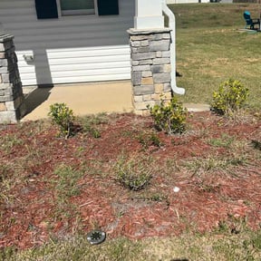 Bush Trimming by Dabbic Lawn Care LLC reviewed on August 19, 2025