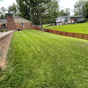 landscape maintenance by CM Lawn Service reviewed on April 30, 2024