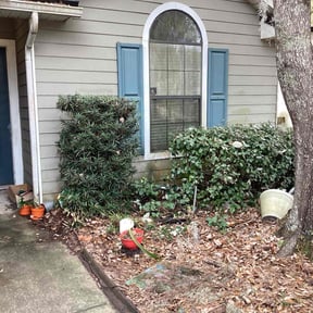 Bush Trimming by 804 lawn service reviewed on December 10, 2025