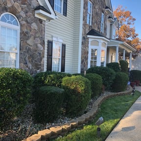 Bush Trimming by D & C lawn care reviewed on August 19, 2025
