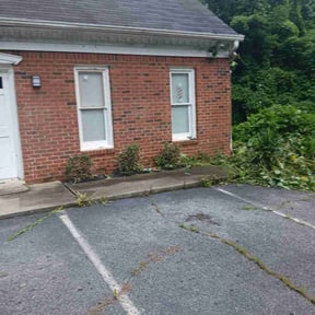 Bush Trimming by AA lawn care reviewed on December 11, 2025