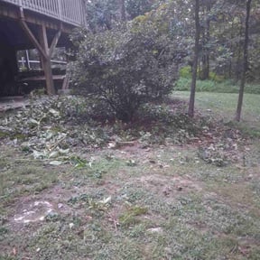 Bush Trimming by Property Pro reviewed on November 10, 2025