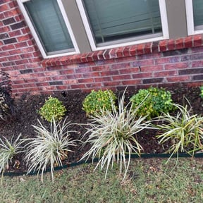 Flower Bed Weeding by GreenCare&amp;Smiles reviewed on November 24, 2025