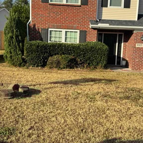 Bush Trimming by Tansol LLC reviewed on November 26, 2025