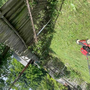 Leaf Removal by A&amp;A reviewed on July 23, 2026