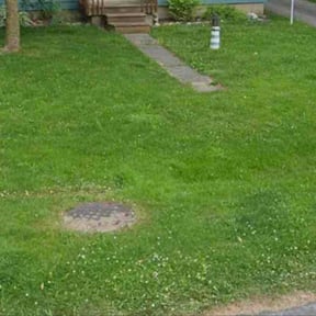 Leaf Removal by Oak Landscaping reviewed on April 4, 2026