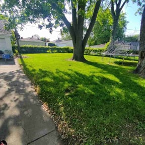 landscaping services by PizzaCuts reviewed on May 31, 2025