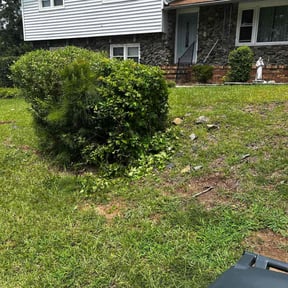 Bush Trimming by AAA Outdoor Services reviewed on November 24, 2025