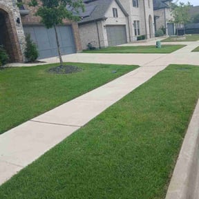 yard service by Counts lawn Care reviewed on August 15, 2025