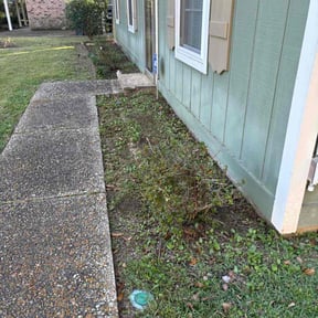 Bush Trimming by TIMBERLAND Pro Landscaping reviewed on October 19, 2025