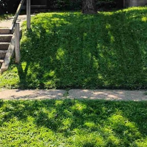 grass cutting by RGV LawnCare Services reviewed on March 29, 2024