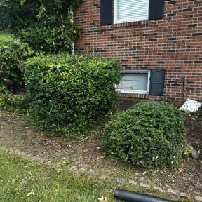 Flower Bed Weeding by Extreme lawn care reviewed on July 2, 2026