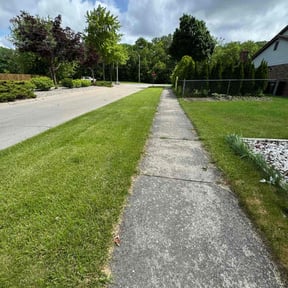 yard service by Liberty Construction and Maintenance LLC reviewed on December 10, 2025