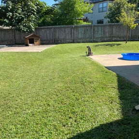 gardening service by Bo mows reviewed on August 19, 2025