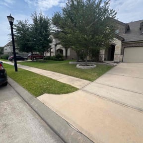 yard care by A.M. Lawncare Services LLC reviewed on August 14, 2025