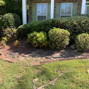 Flower Bed Weeding by I Do It All reviewed on November 23, 2025