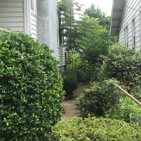 Bush Trimming by GB lawn service reviewed on August 15, 2025