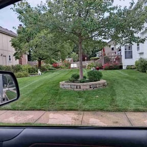 landscaping by Divine Lawn Care reviewed on August 18, 2023