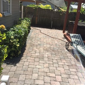 Bush Trimming by Shammy's Lawncare reviewed on March 30, 2024