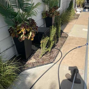 Flower Bed Weeding by Snap Green Landscapers LLC reviewed on August 28, 2026