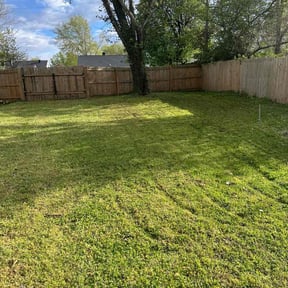 grass cutting by Shine Rite Pressure Washing and Landscaping reviewed on May 6, 2024