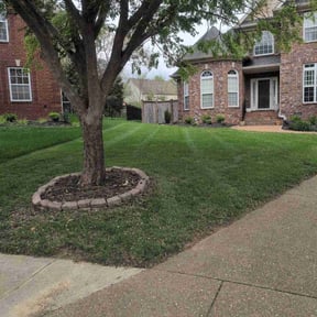 turf care by AYS Lawncare reviewed on April 9, 2024