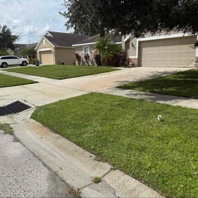 Bush Trimming by Daniel Torres reviewed on May 11, 2025