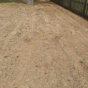 Leaf Removal by 618&#039;S Snappin Out Lawn Care reviewed on September 7, 2025