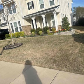 Bush Trimming by Polish up  reviewed on November 27, 2025