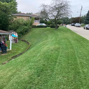 lawn service by Newpensioninvestors.Inc reviewed on April 4, 2024