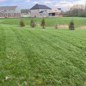 landscape maintenance by Farris landscaping reviewed on November 18, 2025