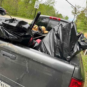 Leaf Removal by Clean cuts reviewed on May 7, 2026