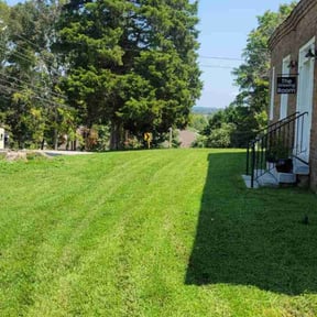 yard service by OneScape Outdoor Co. reviewed on August 19, 2025