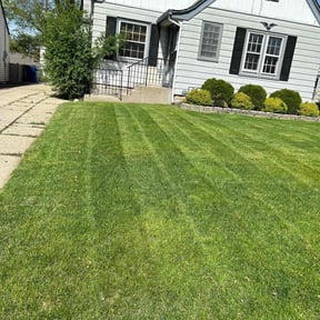 turf maintenance by Tailormade lawn service reviewed on June 27, 2025